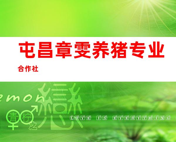 屯昌章雯养猪专业合作社