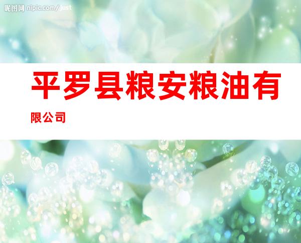 平罗县粮安粮油有限公司