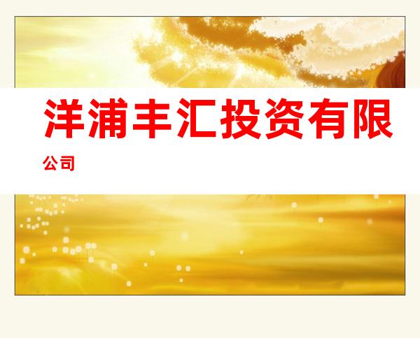 洋浦丰汇投资有限公司