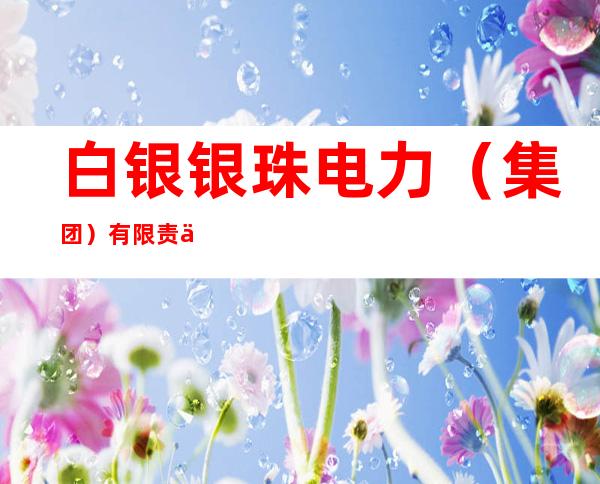 白银银珠电力（集团）有限责任公司信息技术服务分公司