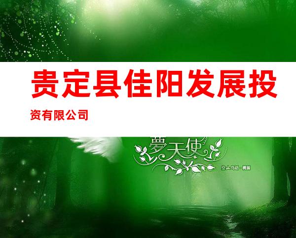 贵定县佳阳发展投资有限公司