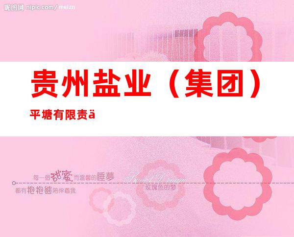 贵州盐业（集团）平塘有限责任公司