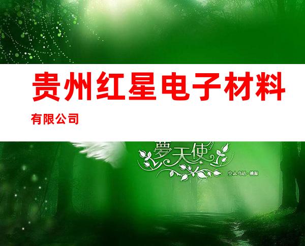 贵州红星电子材料有限公司
